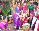 Pongal Festival in Tamilnadu