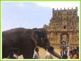 Tanjore Temple, Tanjore