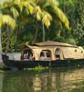 South India Tour Kerala Backwaters